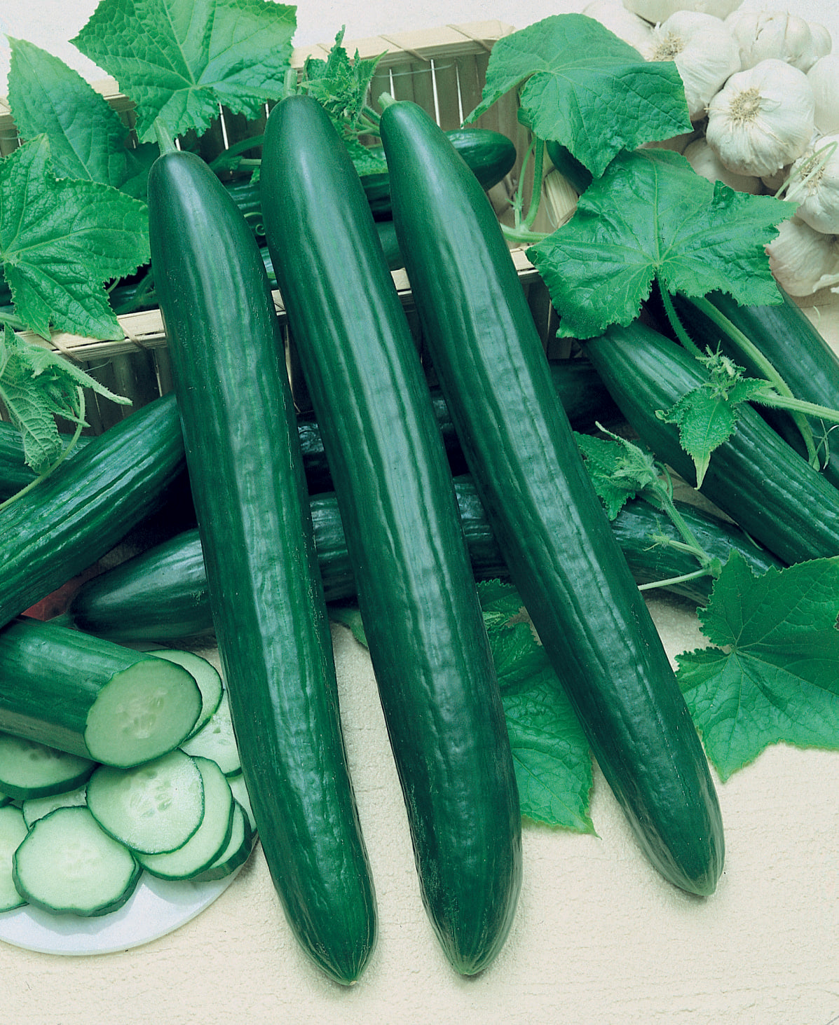 Vista Cucumber Gardeners Vegetable – Crisp Bitter-Free Long Fruit 1
