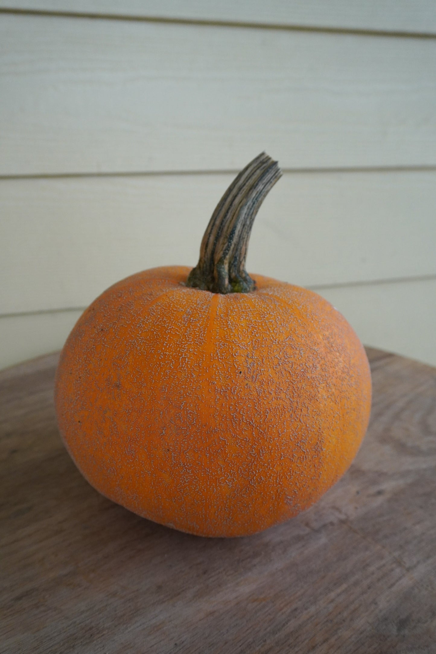 Wendy's Heirloom Winter Pumpkin – Unique Netted Skin for Delicious Pies 3