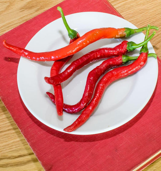 Witch Stick Gardening Enthusiasts Pepper Seeds – Unique Corkscrew Shape With Mild Heat For Fun Growing 0