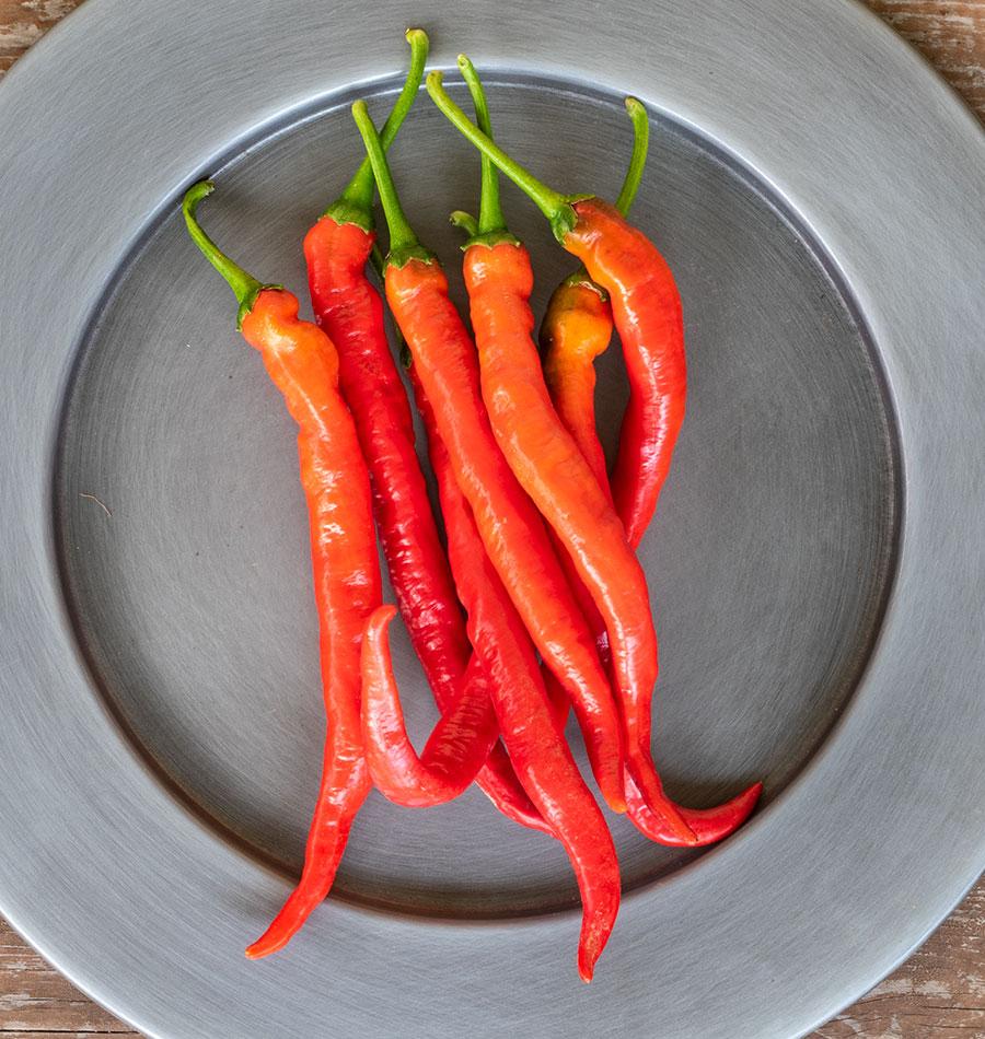 Witch Stick Gardening Enthusiasts Pepper Seeds – Unique Corkscrew Shape With Mild Heat For Fun Growing 1