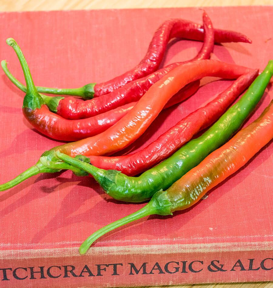 Witch Stick Gardening Enthusiasts Pepper Seeds – Unique Corkscrew Shape With Mild Heat For Fun Growing 2